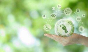 Environmental Initiatives and Sustainability